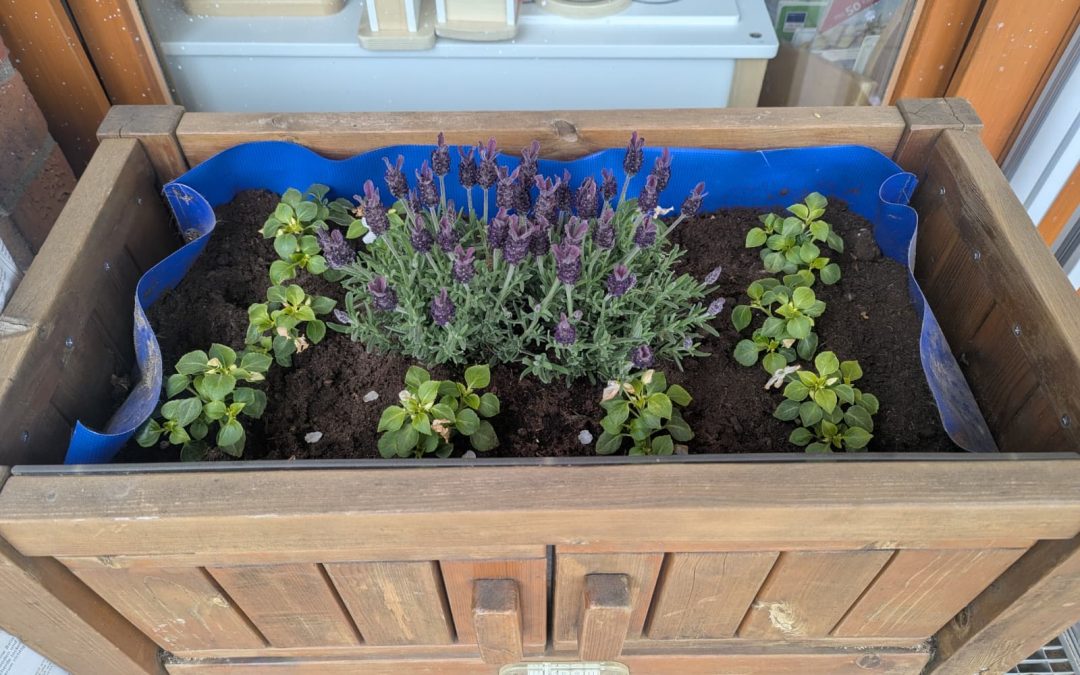 Pflanzaktion im Erlebnishaus